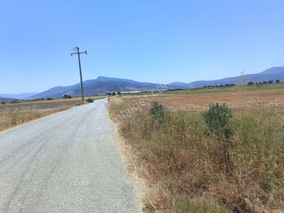 Arsa-Tarla