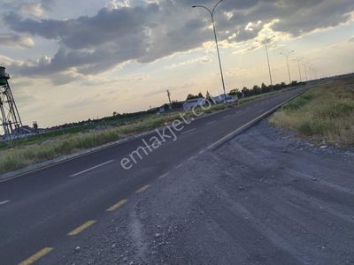Arsa-Özel Kullanım
