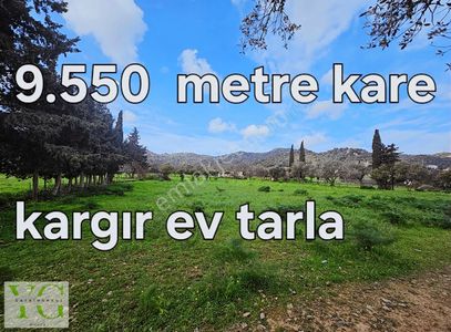 Arsa-Tarla