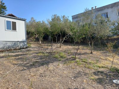 Konut-Prefabrik