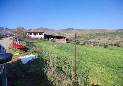 Arsa-Tarla