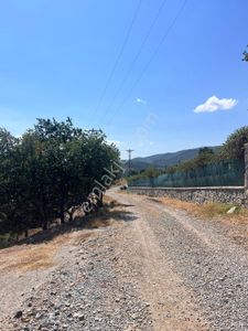 Arsa-Tarla