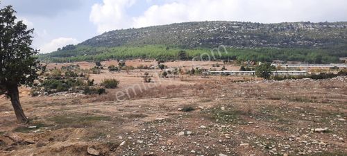 Arsa-Tarla