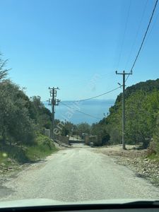 Arsa-Zeytinlik