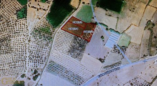 Arsa-Tarla