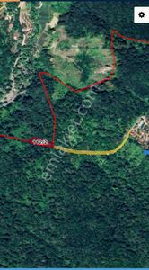Arsa-Tarla