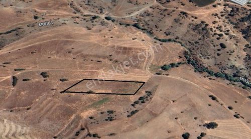 Arsa-Tarla
