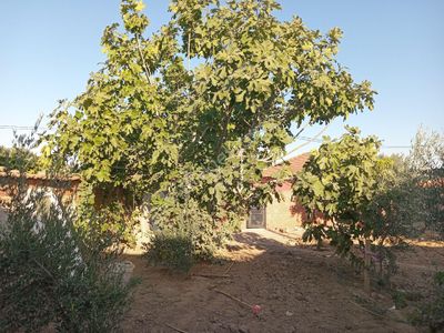 Arsa-Konut İmarlı
