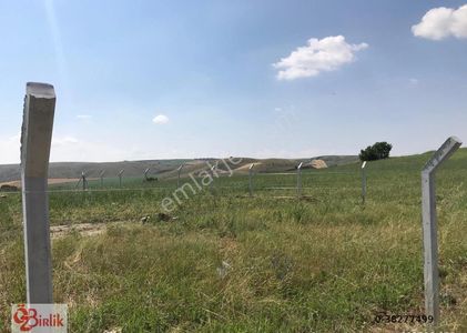 Arsa-Konut İmarlı