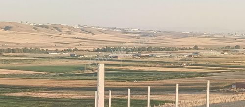 Arsa-Bağ & Bahçe