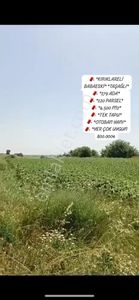 Arsa-Tarla