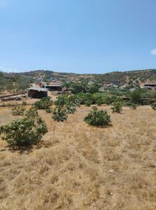 Arsa-Arazi