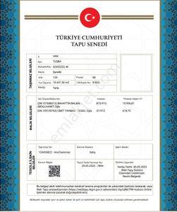 Konut-Köy Evi