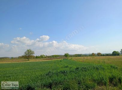 Arsa-Tarla