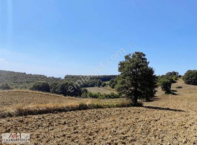 Arsa-Tarla