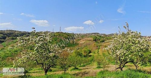 Arsa-Konut İmarlı
