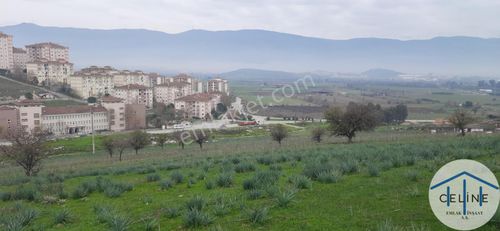 Arsa-Konut İmarlı