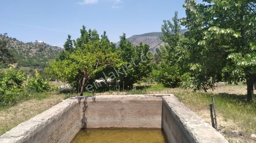 Arsa-Bağ & Bahçe