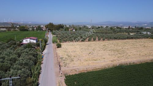 Arsa-Tarla
