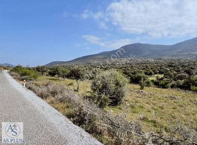 Arsa-Tarla