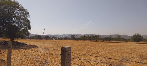 Arsa-Sanayi İmarlı