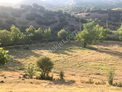 Arsa-Tarla