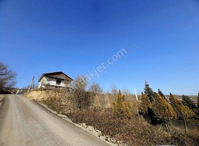Arsa-Depo, Antrepo İzinli