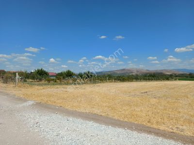 Arsa-Tarla