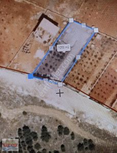 Arsa-Villa İmarlı