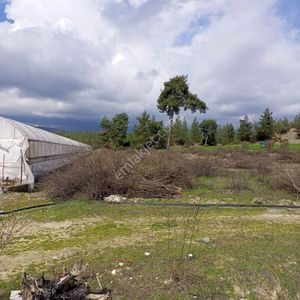 Arsa-Tarla