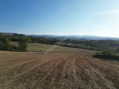 Arsa-Tarla