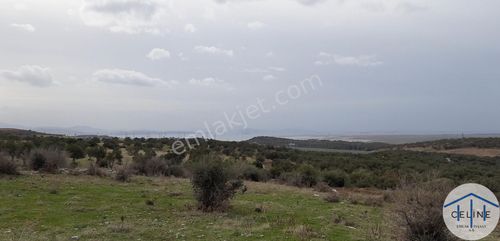 Arsa-Konut İmarlı