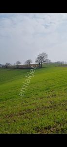 Arsa-Tarla