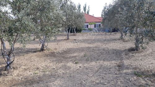 Arsa-Konut İmarlı