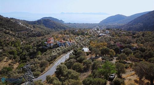 Arsa-Zeytinlik