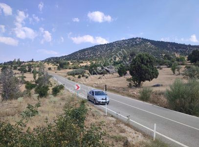 Arsa-Tarla