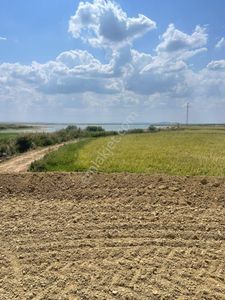 Arsa-Konut İmarlı