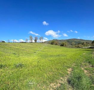 Arsa-Tarla