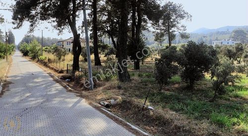 Arsa-Özel Kullanım