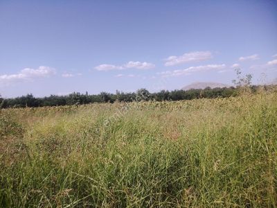 Arsa-Tarla
