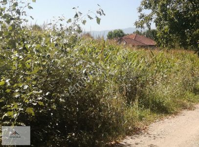 Arsa-Konut İmarlı
