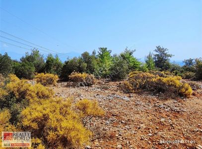 Arsa-Konut İmarlı