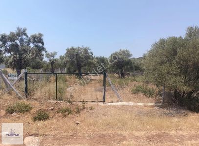 Arsa-Villa İmarlı