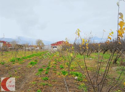 Arsa-Bağ & Bahçe