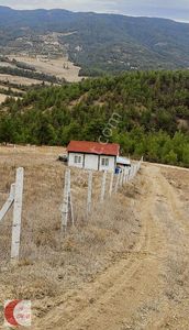 Arsa-Tarla