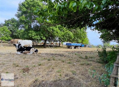 Arsa-Konut İmarlı