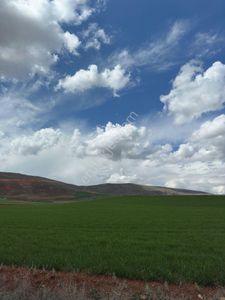 Arsa-Tarla