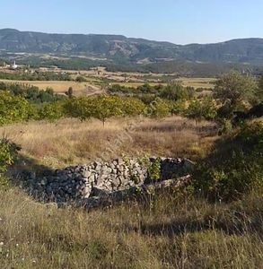 Arsa-Tarla