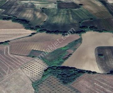 Arsa-Tarla
