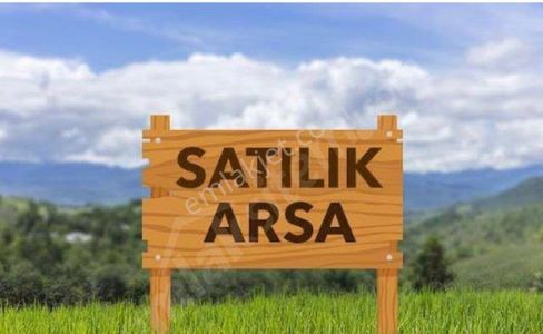 Arsa-Tarla